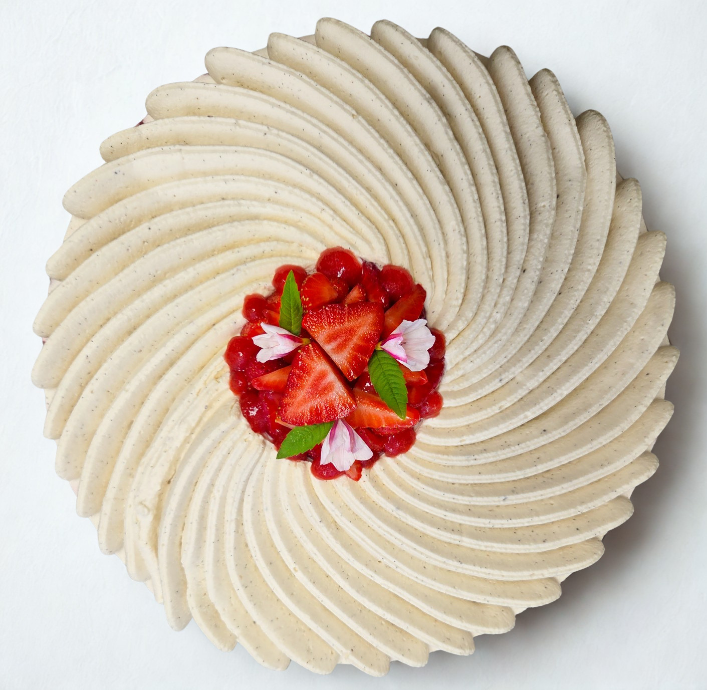  Fraisier tourbillon 100% vanille